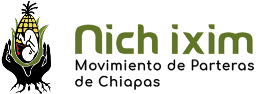 Logo de Nich Ixim
