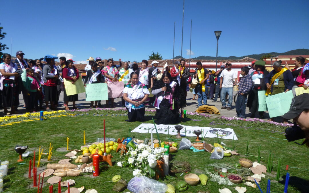 1ra Marcha de parteras de Chiapas en San Cristóbal de las Casas, para visibilizar su aporte social y denunciar la discriminación a su labor. Noviembre 2018.