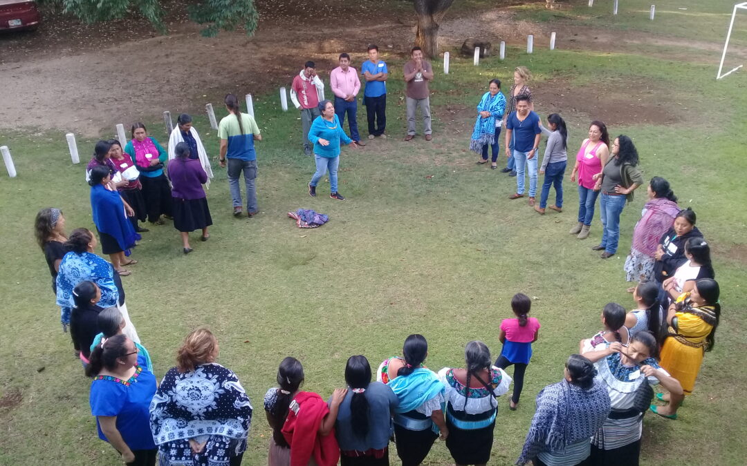 Intervención del Movimiento de Parteras de Chiapas Nich Ixim en la Mesa Redonda Derechos Humanos y Salud Intercultural, organizada por la Suprema Corte de Justicia de la Nación y la Comisión Nacional de Derechos Humanos. CDMX. Abril 2018.